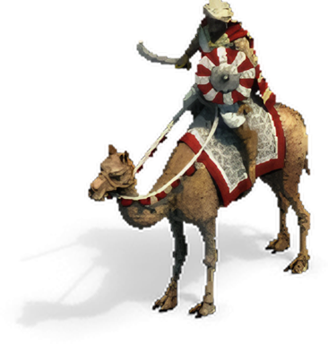 Camel Rider